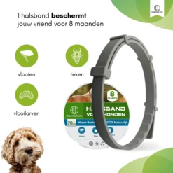 Essential Link Teken- En Vlooienband - Vlooienband Kat/Hond – Anti Vlooien – Vlooienmiddel - Tekenband - Diervriendelijk 9 Essential Link Teken- En Vlooienband - Vlooienband Kat/Hond – Anti Vlooien – Vlooienmiddel - Tekenband - Diervriendelijk -Merkloos Verkoop 1200x1200 903