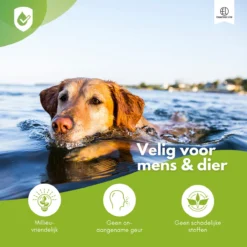 Essential Link Teken- En Vlooienband - Vlooienband Kat/Hond – Anti Vlooien – Vlooienmiddel - Tekenband - Diervriendelijk 11 Essential Link Teken- En Vlooienband - Vlooienband Kat/Hond – Anti Vlooien – Vlooienmiddel - Tekenband - Diervriendelijk -Merkloos Verkoop 1200x1200 905