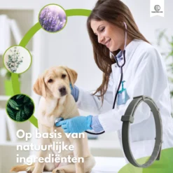 Essential Link Teken- En Vlooienband - Vlooienband Kat/Hond – Anti Vlooien – Vlooienmiddel - Tekenband - Diervriendelijk 13 Essential Link Teken- En Vlooienband - Vlooienband Kat/Hond – Anti Vlooien – Vlooienmiddel - Tekenband - Diervriendelijk -Merkloos Verkoop 1200x1200 906