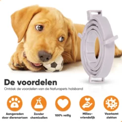 Nafurapets Vlooienband Voor Hond – Anti Vlooien – Teken Band – 100% Natuurlijk – 8 Maanden Bescherming – Grote & Kleine Hond -Merkloos Verkoop 1200x1200 911