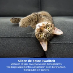 Sensipharm Urologist Aid Voor Kat, Hondje, Cavia, Konijn - Bij Blaasontsteking, Blaasgruis, Struviet, Oxalaat & Nierstenen - 90 Tabletten à 250 Mg 10 Sensipharm Urologist Aid Voor Kat, Hondje, Cavia, Konijn - Bij Blaasontsteking, Blaasgruis, Struviet, Oxalaat & Nierstenen - 90 Tabletten à 250 Mg -Merkloos Verkoop 1200x1200 919