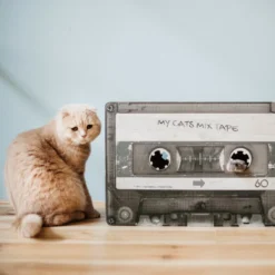 District 70 MIXTAPE - Trendy Retro Krabmeubel Van Duurzaam Karton - Omkeerbaar In Zwart - 54x35x31cm - Zwart -Merkloos Verkoop 1200x1200 967