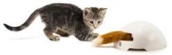 FroliCat Vossenhol - Automatische Kattenplager - Kattenspeelgoed -Merkloos Verkoop 1200x387