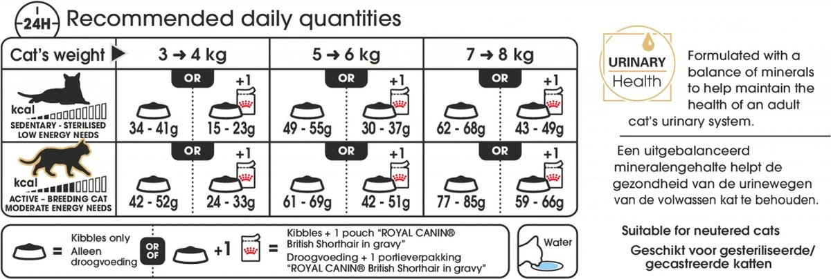 Royal Canin British Shorthair Kitten - 2 Kg 7 Royal Canin British Shorthair Kitten - 2 Kg - Image 7