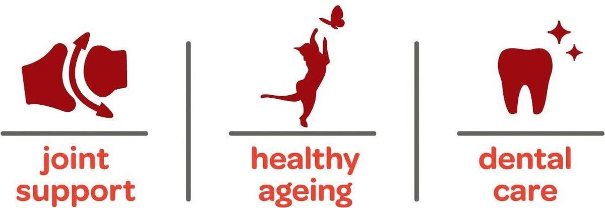 Smolke Senior Kat 4 Kg - Kat 18 Smolke Senior Kat 4 Kg - Kat - Image 18