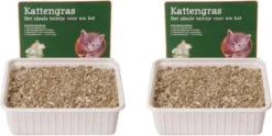 Kattengras Zaadjes Per 2 Dozen