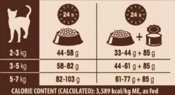Wellness Core Grain Free Cat Ocean Zalm & Tonijn - Kattenvoer - 1.75 Kg -Merkloos Verkoop 1200x650