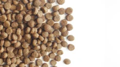 Carocroc Kitten Food - Kattenvoer - 7 Kg -Merkloos Verkoop 1200x675 4