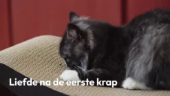 Snoozle Loop Krabpaal Voor Katten - Zwart - 86cm - Krabmeubel Voor Grote Katten - Karton -Merkloos Verkoop 1200x675 9