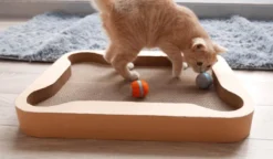 Cheerble Mini Ball 2.0 - Slimme Interactieve Zelf Rollende Bal Voor Katten - 3 Speelmodi - Kattenspeeltjes - USB Oplaadbaar - Rood -Merkloos Verkoop 1200x699