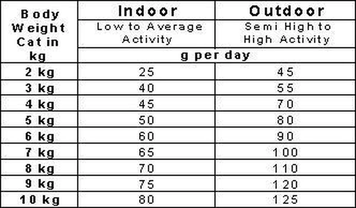Smolke Senior Kat 4 Kg - Kat 7 Smolke Senior Kat 4 Kg - Kat - Image 7