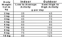 Smolke Adult Fish & Rice 10 Kg - Kat 38 Smolke Adult Fish & Rice 10 Kg - Kat -Merkloos Verkoop 1200x716
