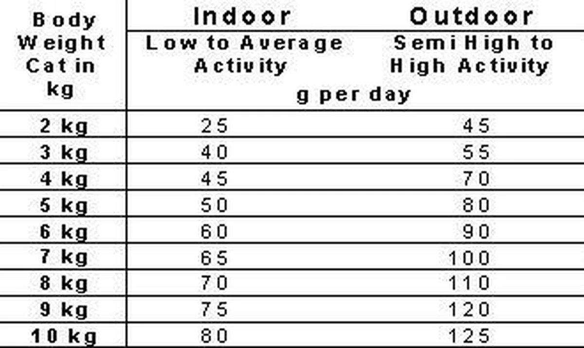 Smolke Adult Fish & Rice 10 Kg - Kat 19 Smolke Adult Fish & Rice 10 Kg - Kat - Image 19