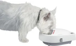 Cat Mate C300 - Automatische Voerbak – Voerbak – Voerautomaat - Voerbak Kat – Voerbak Hond - Voerbak Met Timer - Voerautomaat Kat - Voerautomaat Hond – Automatisch- Wit -Merkloos Verkoop 1200x724