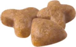 Royal Canin Sensible 33 - Kattenvoer - 2 Kg 20 Royal Canin Sensible 33 - Kattenvoer - 2 Kg -Merkloos Verkoop 1200x746