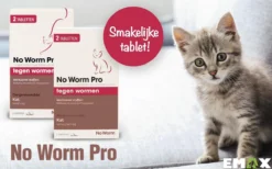 No Worm Pro Kat & Kitten - Anti Wormenmiddel - 2 X 2 Tab Vanaf 0.5 Kg Vanaf 6 Weken -Merkloos Verkoop 1200x750 1