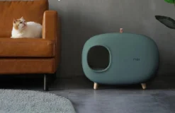 MakeSure Kattenbak Met Lade - Groen - 60 X 38 X 45 Cm - Design -Merkloos Verkoop 1200x778 1