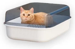 Merkloos Kattenbak - Zwart - Open - Incl. Schep - Modern - Hip - Trendy - Design Kattenbak -Merkloos Verkoop 1200x793 2