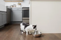 PetSafe® Seaside Stainless Steel Pet Fountain - RVS Drinkfontein Voor Katten En Kleine Honden - Water Borrelt Zacht Over De Toren - Door Het Design Van Alle Kanten Bereikbaar - 1,8 Liter - PetSafe Seaside -Merkloos Verkoop 1200x799 2