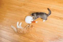 FroliCat Vossenhol - Automatische Kattenplager - Kattenspeelgoed -Merkloos Verkoop 1200x799 3