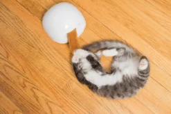 FroliCat Vossenhol - Automatische Kattenplager - Kattenspeelgoed -Merkloos Verkoop 1200x799 4