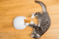 FroliCat Vossenhol - Automatische Kattenplager - Kattenspeelgoed -Merkloos Verkoop 1200x799 5