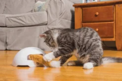 FroliCat Vossenhol - Automatische Kattenplager - Kattenspeelgoed -Merkloos Verkoop 1200x799 6