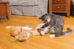 FroliCat Vossenhol - Automatische Kattenplager - Kattenspeelgoed -Merkloos Verkoop 1200x800 12