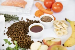 Kivo Petfood Kattenbrokken Verse Zalm - 5 Kg - Graanvrij 9 Kivo Petfood Kattenbrokken Verse Zalm - 5 Kg - Graanvrij -Merkloos Verkoop 1200x800 2