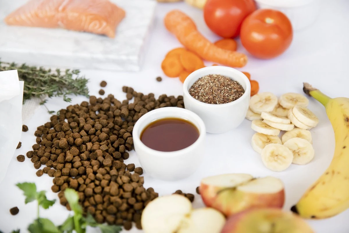 Kivo Petfood Kattenbrokken Verse Zalm - 5 Kg - Graanvrij 5 Kivo Petfood Kattenbrokken Verse Zalm - 5 Kg - Graanvrij - Image 5