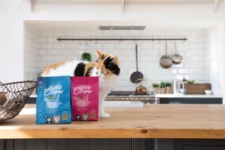 Edgard&Cooper Kitten Kip&Eend&Witvis - Kattenvoer - 3 X 300 G -Merkloos Verkoop 1200x800