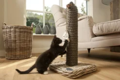 Designed By Lotte - Krabpaal - Kubu - 40x40x80 Cm -Merkloos Verkoop 1200x800 68