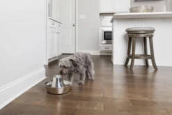 PetSafe® Seaside Stainless Steel Pet Fountain - RVS Drinkfontein Voor Katten En Kleine Honden - Water Borrelt Zacht Over De Toren - Door Het Design Van Alle Kanten Bereikbaar - 1,8 Liter - PetSafe Seaside -Merkloos Verkoop 1200x800 8