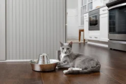 PetSafe® Seaside Stainless Steel Pet Fountain - RVS Drinkfontein Voor Katten En Kleine Honden - Water Borrelt Zacht Over De Toren - Door Het Design Van Alle Kanten Bereikbaar - 1,8 Liter - PetSafe Seaside -Merkloos Verkoop 1200x800 9