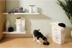 Curver Voedselcontainer Kat - 35 L 9 Curver Voedselcontainer Kat - 35 L -Merkloos Verkoop 1200x805