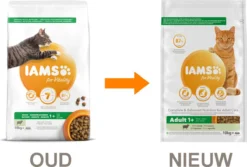 Iams Cat Adult - Lam - Kattenvoer - 10 Kg -Merkloos Verkoop 1200x812 1