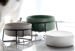 GIZMO 2x Voerbak Kat - 400 Ml - Groen - Keramische Drink- & Voerbakken Met Standaard - 13 Cm - 2 Stuks -Merkloos Verkoop 1200x823