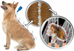 Beaphar DIMETHIcare Line On Kat - Vlooienbestrijding - 6 Pipetten 12 Beaphar DIMETHIcare Line On Kat - Vlooienbestrijding - 6 Pipetten -Merkloos Verkoop 1200x831 3
