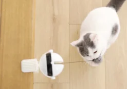 Merkloos Kattenhengel - Elektrisch Kattenspeelgoed - Kattenspeeltjes - Automatische Hengel - Kitten Speelgoed - Interactief Kattenspeelgoed - Bal - Katten - Poesjes - Kitten - Kat - Kattenbal - Kattenspeeltjes Intelligentie -Merkloos Verkoop 1200x845