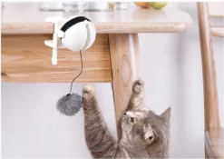 Merkloos Kattenhengel - Elektrisch Kattenspeelgoed - Kattenspeeltjes - Automatische Hengel - Kitten Speelgoed - Interactief Kattenspeelgoed - Bal - Katten - Poesjes - Kitten - Kat - Kattenbal - Kattenspeeltjes Intelligentie -Merkloos Verkoop 1200x852 1
