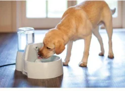 Petsafe Drinkwell Platinum - Drinkfontein - 5 L 35 Petsafe Drinkwell Platinum - Drinkfontein - 5 L -Merkloos Verkoop 1200x872