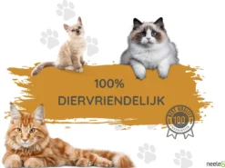 Merkloos Katten Anti Krab XXL Vellen - 10 Stuks - Met NeeleG Springveren - Meubelbescherming - Diervriendelijk - Geen Krabschade Aan Meubels - Bankbescherming - Enkelzijdig Klevend En Transparant - Zonder Punaises - Krabpaal - Anti Scratch - 30x45 CM 13 Merkloos Katten Anti Krab XXL Vellen - 10 Stuks - Met NeeleG Springveren - Meubelbescherming - Diervriendelijk - Geen Krabschade Aan Meubels - Bankbescherming - Enkelzijdig Klevend En Transparant - Zonder Punaises - Krabpaal - Anti Scratch - 30x45 CM -Merkloos Verkoop 1200x898 4