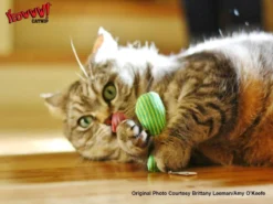 Yeowww! Stinkies Sardientje - Rood Met Sterren - 7.5 Cm - Catnip Kattenkruid ( Kattenspeeltjes ) -Merkloos Verkoop 1200x899 1