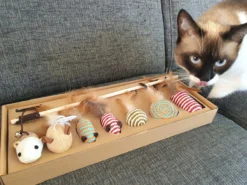 Make Life Beautiful® - Kattenspeeltjes Set - 7-delig - Kattenspeelgoed - Kattenhengel - Speelmuisjes - Kattenspeelgoed Set 15 Make Life Beautiful® - Kattenspeeltjes Set - 7-delig - Kattenspeelgoed - Kattenhengel - Speelmuisjes - Kattenspeelgoed Set -Merkloos Verkoop 1200x900 5