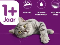 Whiskas 1+ Adult Katten Droogvoer - Rund - 3,8 Kg 8 Whiskas 1+ Adult Katten Droogvoer - Rund - 3,8 Kg -Merkloos Verkoop 1200x902 1