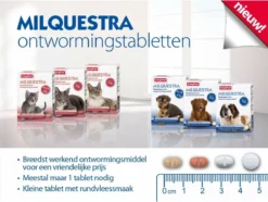 Beaphar Milquestra Kleine Kat/kitten - 0,5 Tot 4 Kg - 2 Tabletten -Merkloos Verkoop 1200x904 4