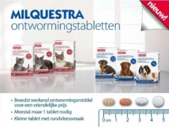 Beaphar Milquestra Ontworming Tabletten Kat 2 - 12 Kg 4 Tabletten -Merkloos Verkoop 1200x904 5