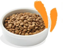 Edgard & Cooper Kattenvoer Adult Kip 4 Kg 14 Edgard & Cooper Kattenvoer Adult Kip 4 Kg -Merkloos Verkoop 1200x905 1