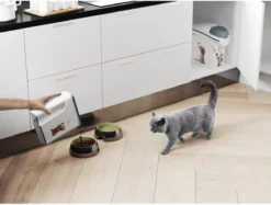 Curver Voercontainer Kat - 6 L -Merkloos Verkoop 1200x910