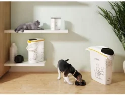 Curver Voedselcontainer Kat - 10 L -Merkloos Verkoop 1200x917 2